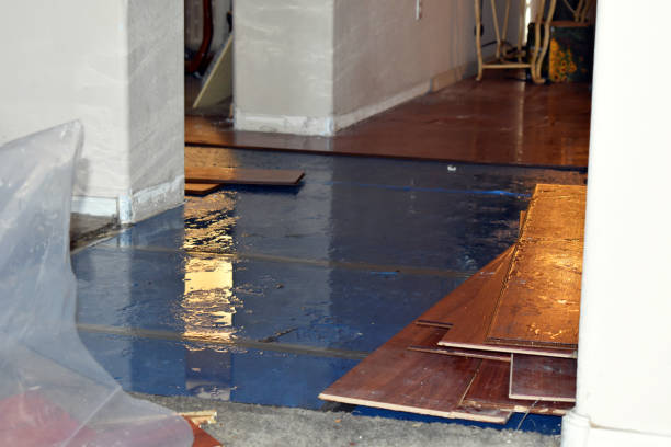Professional Water Damage Restoration technician working in Nelliston, NY